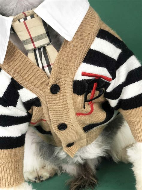 burberry dog apparel